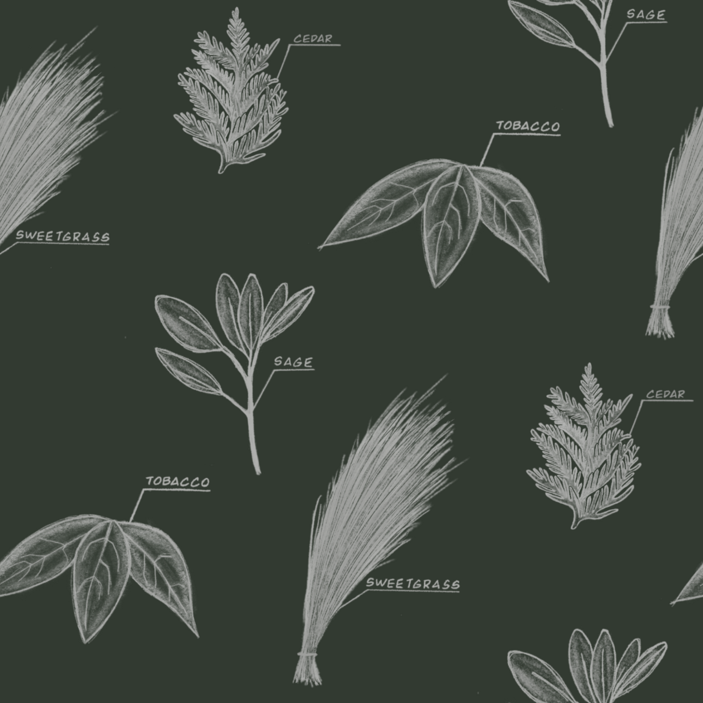 Illustrations of various herbs with labels on a dark background