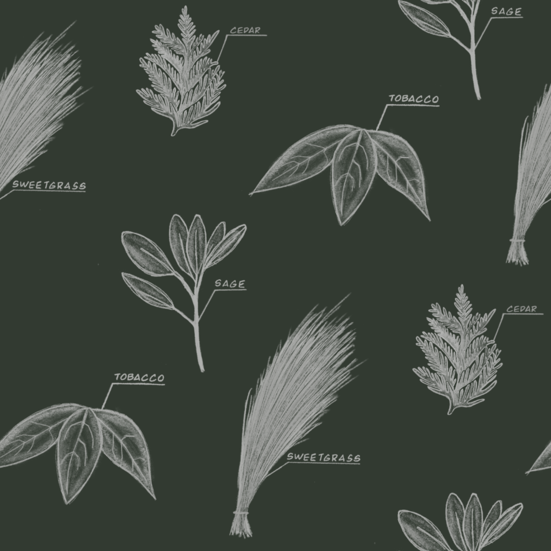 Illustrations of various herbs with labels on a dark background