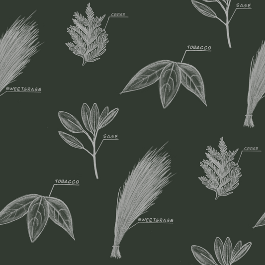 Illustrations of various herbs with labels on a dark background